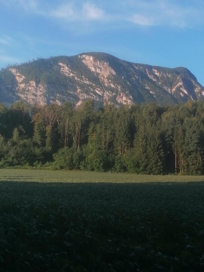 Appartment Resi Wohlfuehlen Und Relaxen Eberndorf Exteriör bild